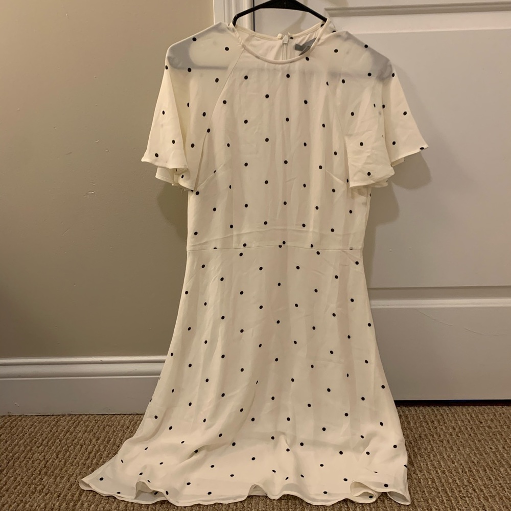 Polka dot H&M dress (NWT)